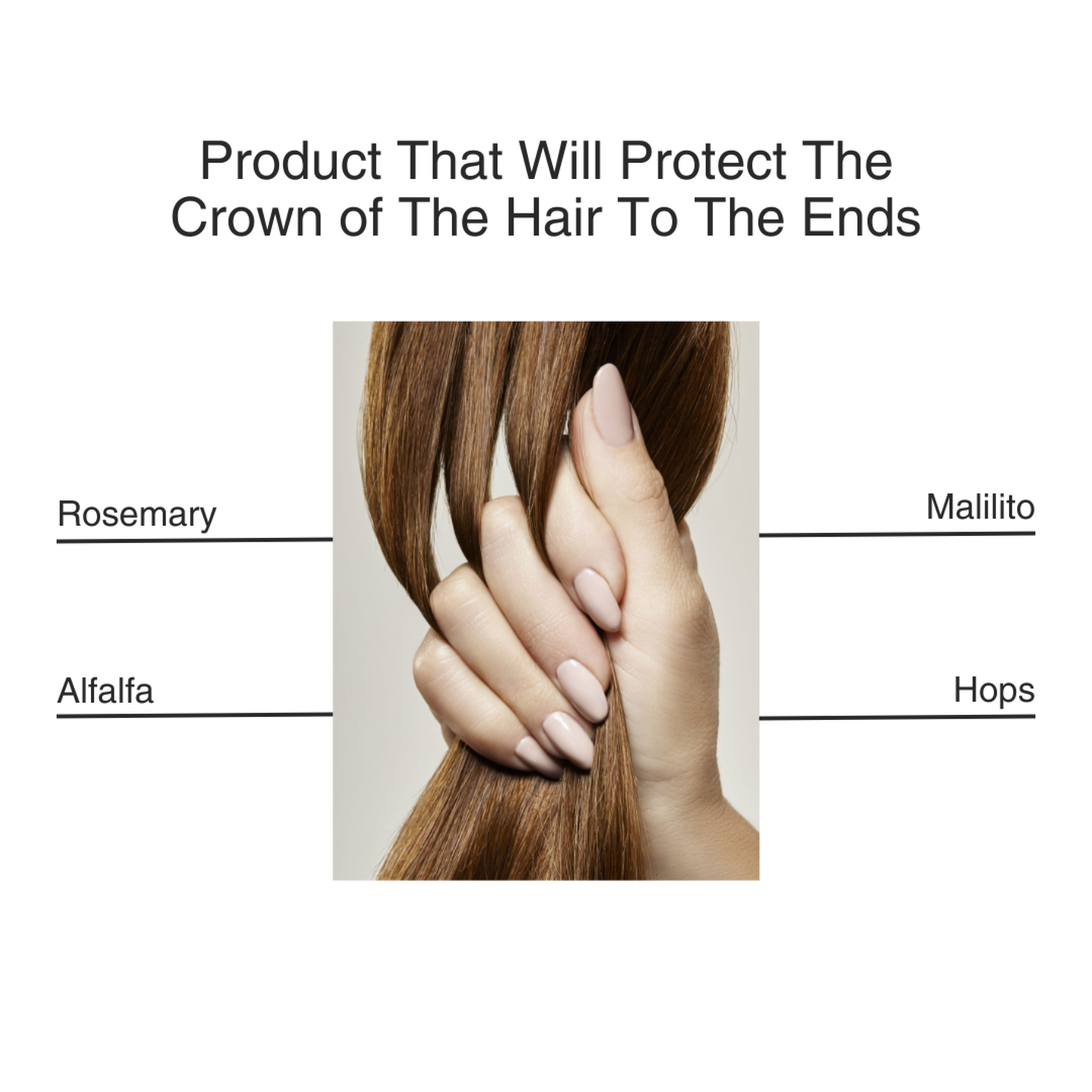 Vegan Scalp Support Serum – Daily care for thinning hair