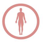Cellular Detox Protocol - Body Phase
