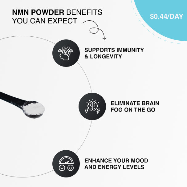 NMN POWDER 100G